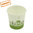 Gobelet en Carton - Green Cup - 100 % Biodégradable 100ml